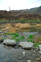 DSC_8674.jpg