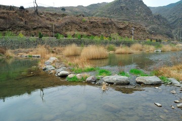 DSC_8677.jpg