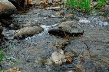 DSC_8680.jpg