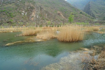 DSC_8690.jpg