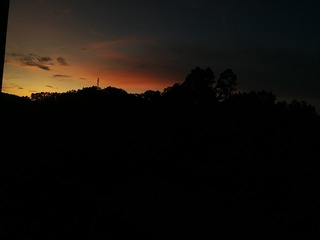 1405361