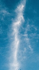 1000074183