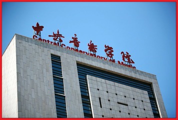 音乐