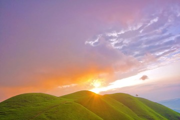 _MG_0098.jpg