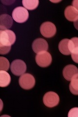 894AE06C-9956-4623-B145-2EF07A00B103/L0/001