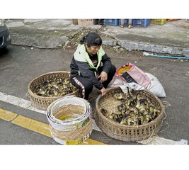 at5_副本