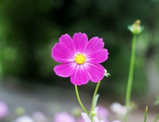 C87EB527-37CC-43E7-B084-5D1B733B030C/L0/001