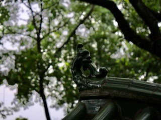 A8250F13-FBEF-4ED6-AF0B-59E6533591CB/L0/001