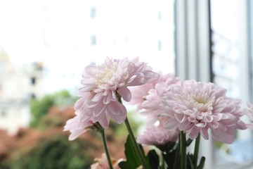 898EBE46-7F14-4D2D-97E9-3EF3F351585E/L0/001
