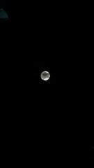 7A5A67EA-04DF-4856-81B9-317490971AEE/L0/001