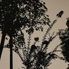 302E9D37-FB9F-46F4-B0C1-E6A2ED3F2AC8/L0/001
