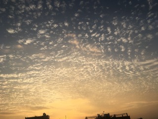 E7DD5A10-9A6A-401E-9434-BD5BCECD4FF3/L0/001