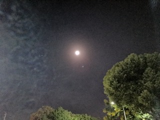 810239