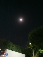 810242
