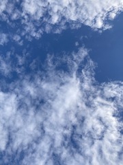 6E4E8877-69AD-4C7E-B56F-4F362D2153C5/L0/001