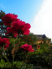 DSCN0040.JPG