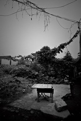 DSC00669.jpg