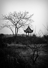 DSC02507.jpg