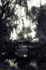 DSC04295.jpg