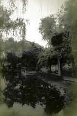 DSC04301.jpg
