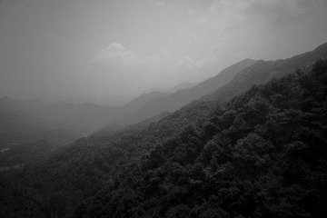 DSC00684.jpg