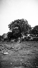DSC02079.jpg