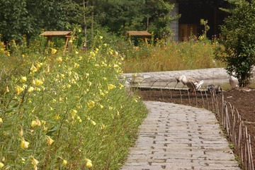 DSC03713.JPG