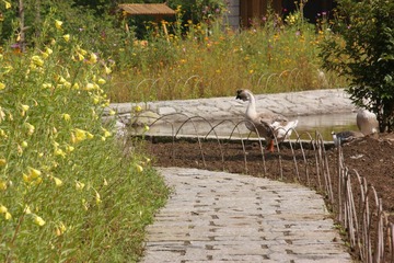 DSC03714.JPG