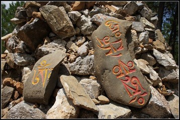 103.jpg
