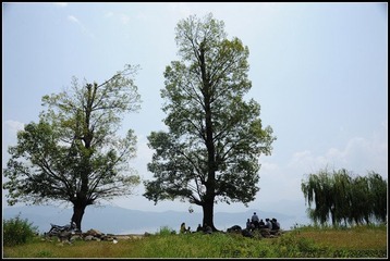 124.jpg