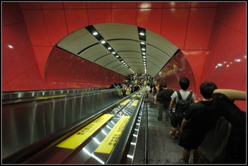 239.jpg