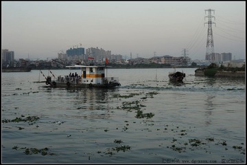 DSC_4779.jpg