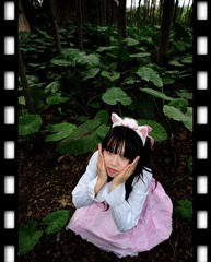 DSC_8728.jpg