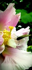 89C7265F-B915-4E91-91A6-887DB0014331/L0/001