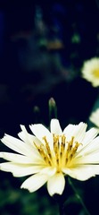 5166B364-CB15-414C-8D82-89F1939289B6/L0/001