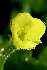 F5FE6CCE-F98C-4463-97DF-B1AD1839F3C2/L0/001