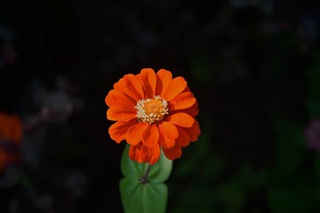 60365