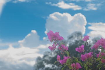 BCB08275-068F-4A1F-8F2B-F36918E51ADE/L0/001