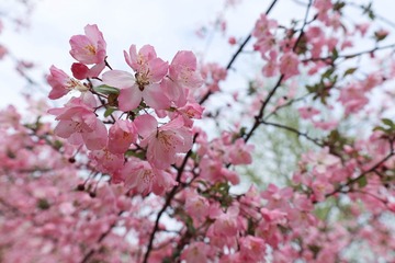 64FA7B43-17BB-429D-9775-CCE236C45A66/L0/001