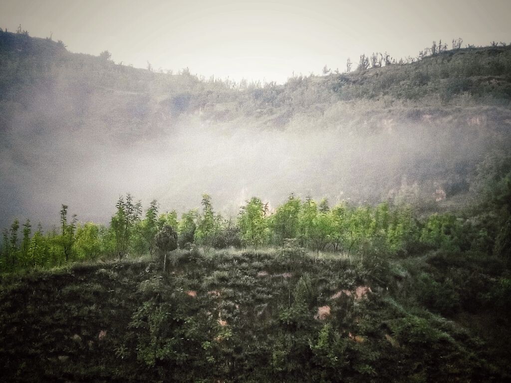 红米1S拍摄，<br />
后期用Snapseed软件调整。<br />
