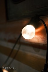 16920690-9F0B-4C68-9E40-713B8BD279FB/L0/001