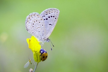 IMG_6621.jpg