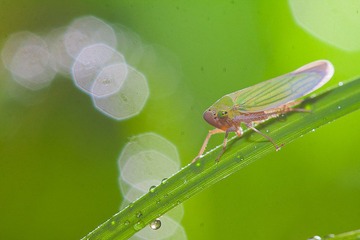 _MG_6777.jpg