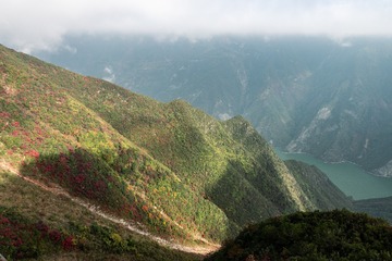 _DSC0484