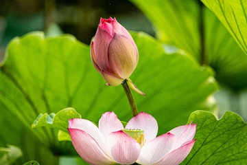 _DSC26621104