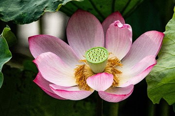 _DSC26801110