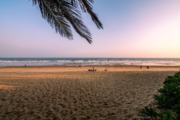 _DSC3027