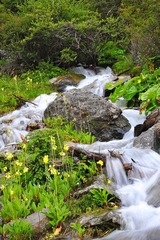 DSC_0773.jpg