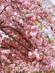 1E515D8E-F836-43DB-977E-C169FD467420/L0/001