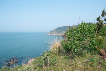 DSCF0825